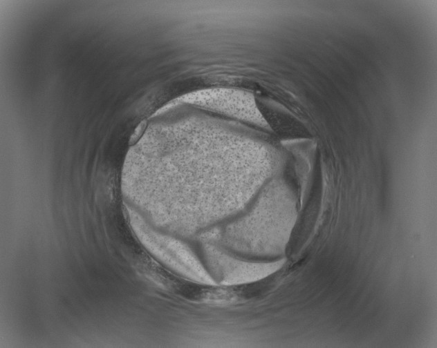 X0000080190125200701051733