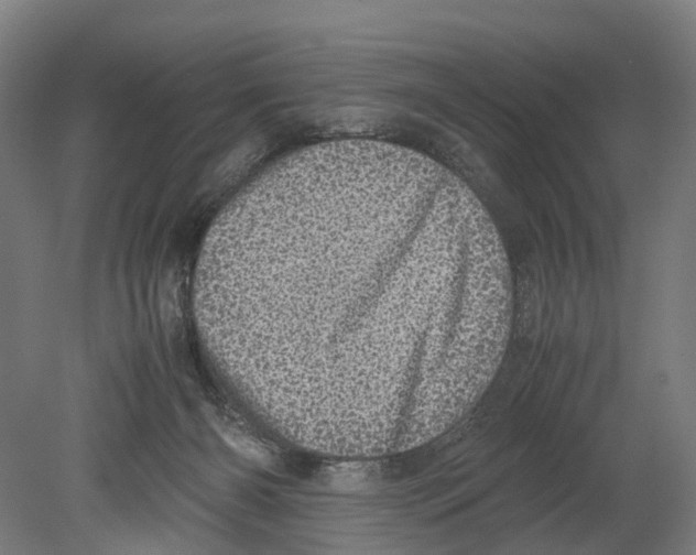 X0000080190126200701051733