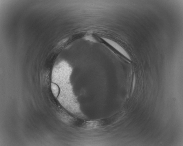 X0000080190127200701051733