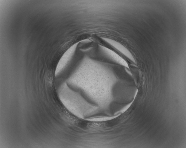 X0000080190129200701051733