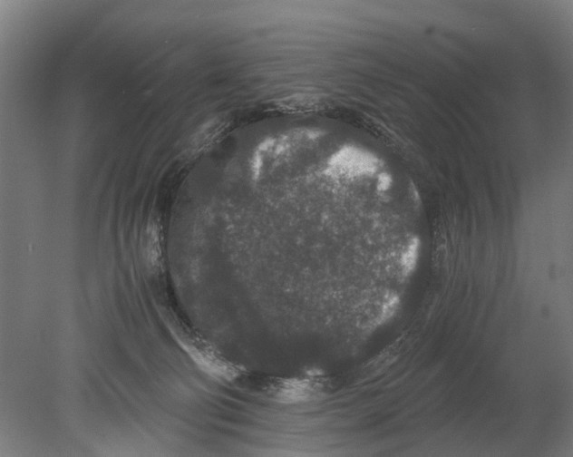 X0000080190130200701051733