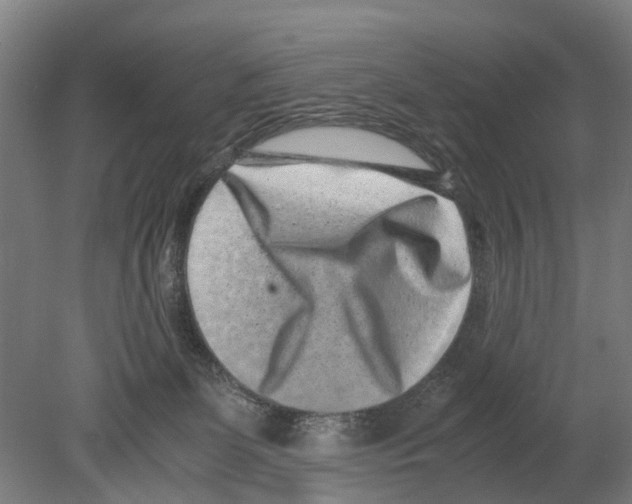 X0000080190131200701051733