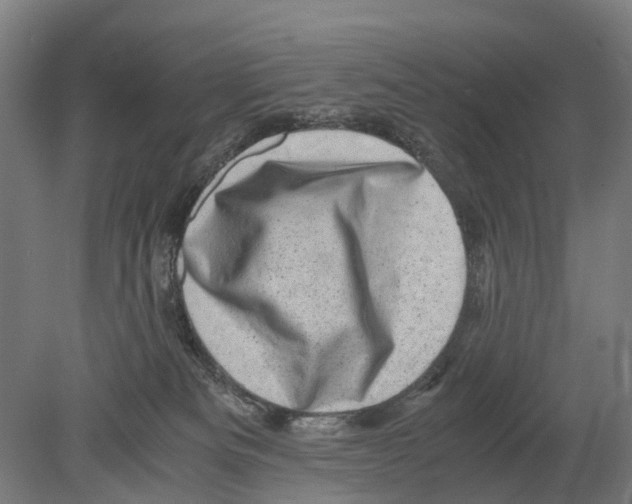 X0000080190133200701051733