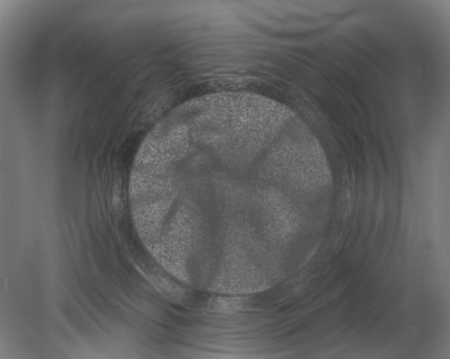 X0000080190134200701051733