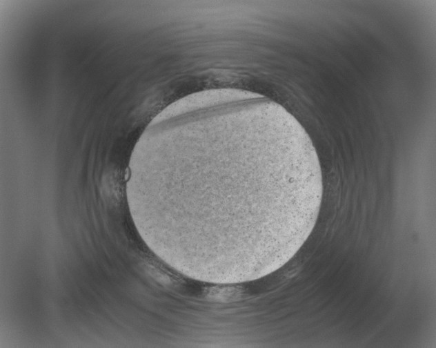 X0000080190135200701051733