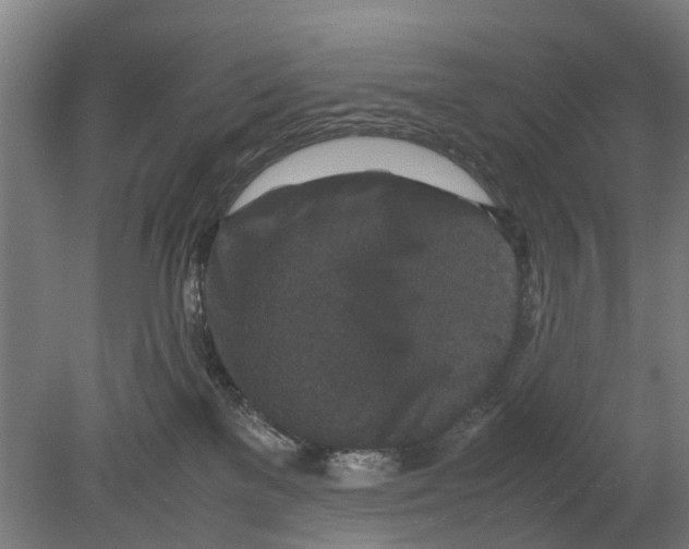 X0000080190137200701051733