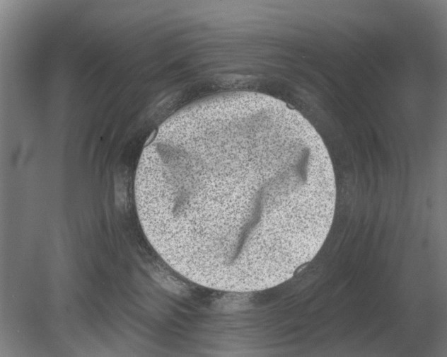 X0000080190138200701051733