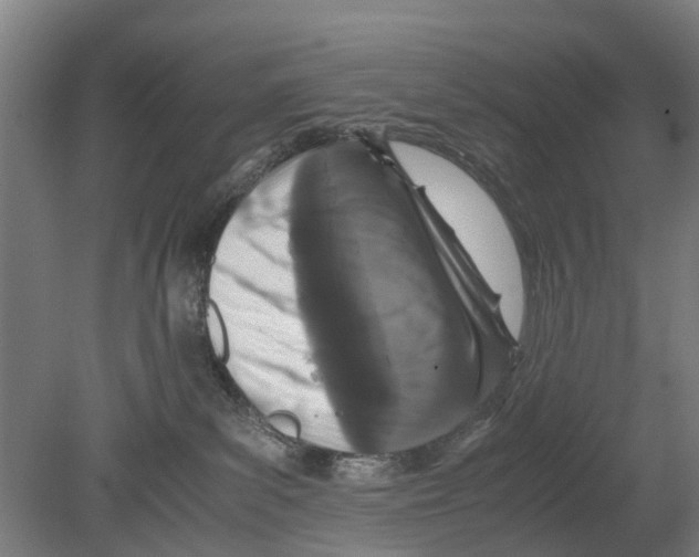 X0000080190139200701051732