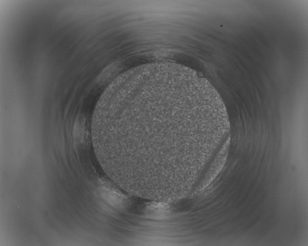 X0000080190140200701051732