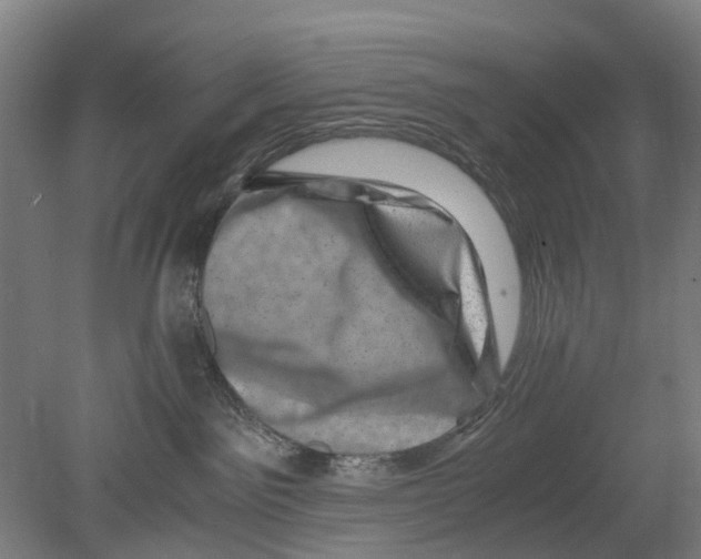 X0000080190141200701051732