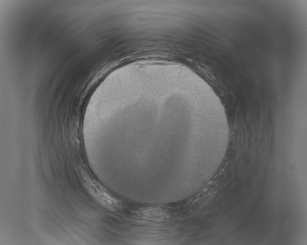 X0000080190146200701051732