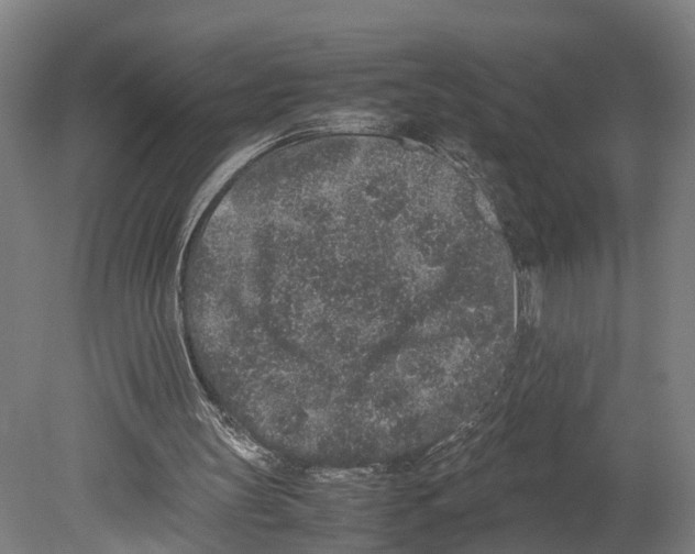 X0000080190147200701051732