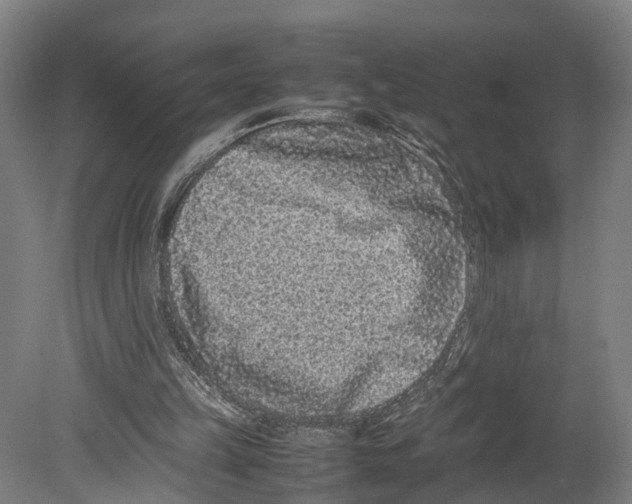 X0000080190149200701051732