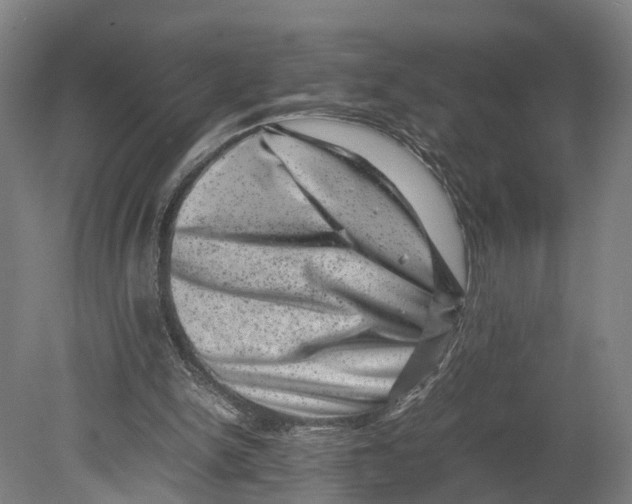 X0000080190150200701051732