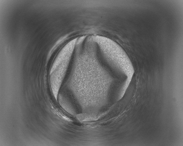 X0000080190152200701051732