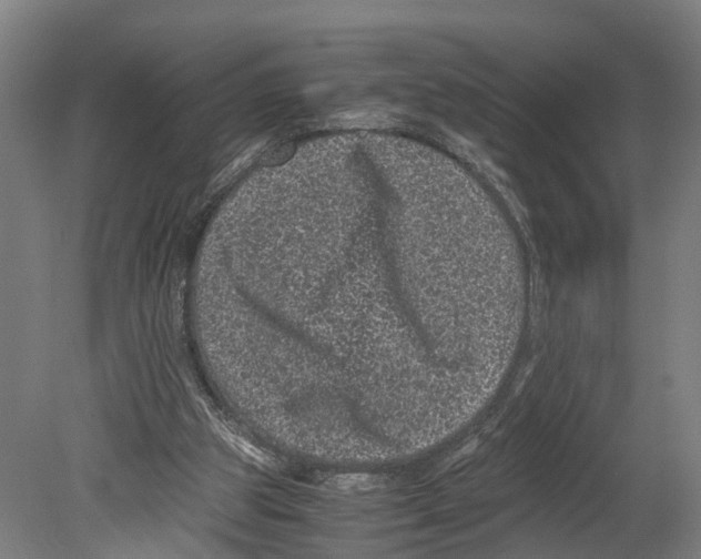 X0000080190153200701051732