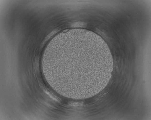 X0000080190155200701051732