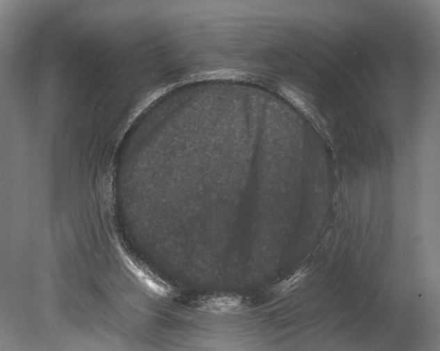 X0000080190156200701051732