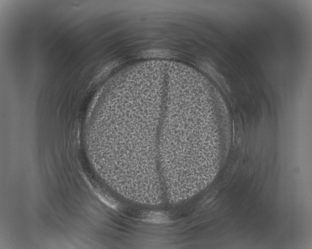 X0000080190157200701051732