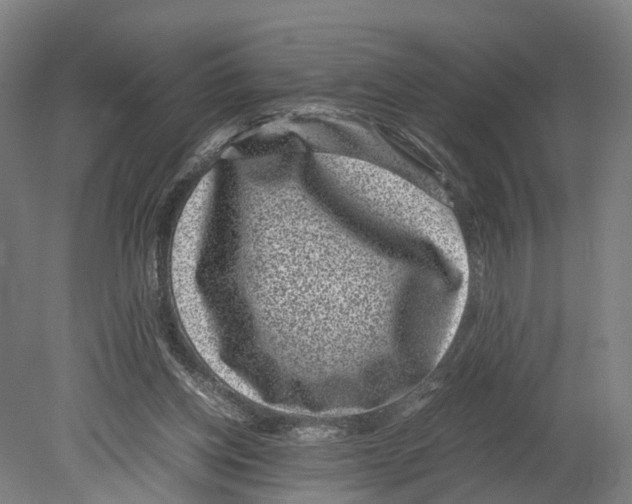 X0000080190158200701051732