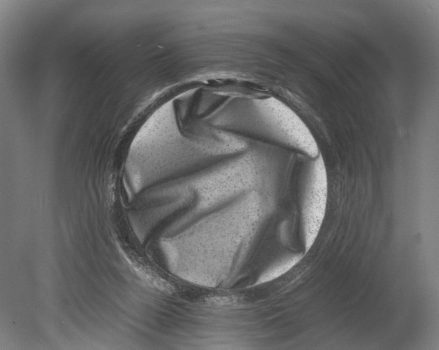 X0000080190160200701051732