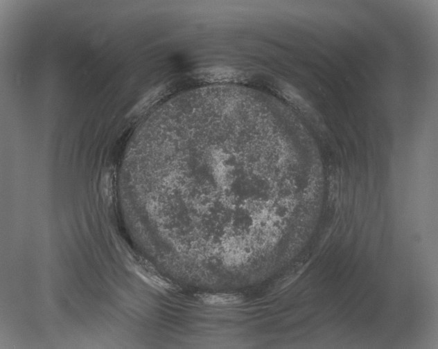 X0000080190165200701051732