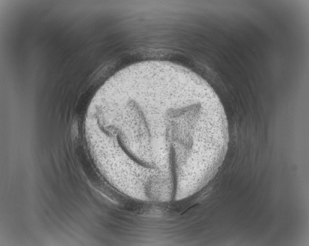 X0000080190166200701051732