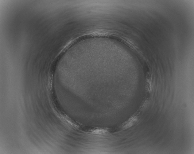 X0000080190168200701051732