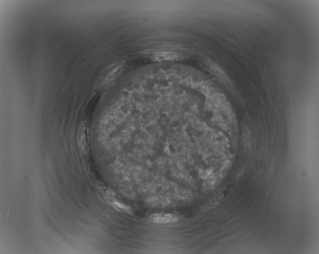 X0000080190169200701051732