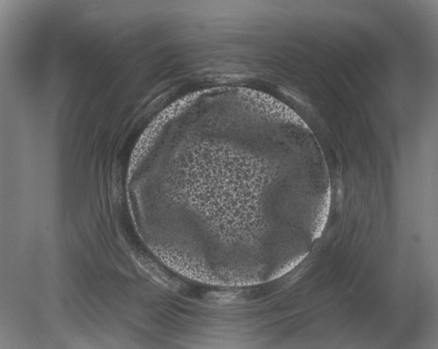 X0000080190170200701051732