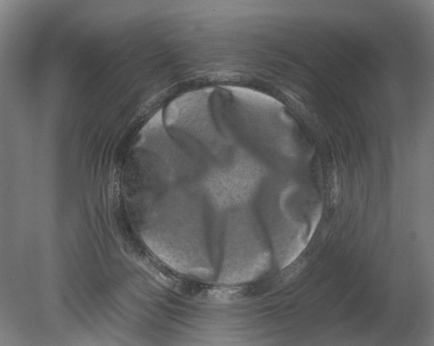 X0000080190172200701051732