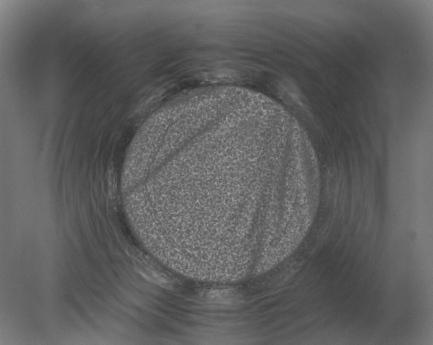 X0000080190173200701051732