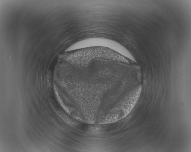 X0000080190174200701051732