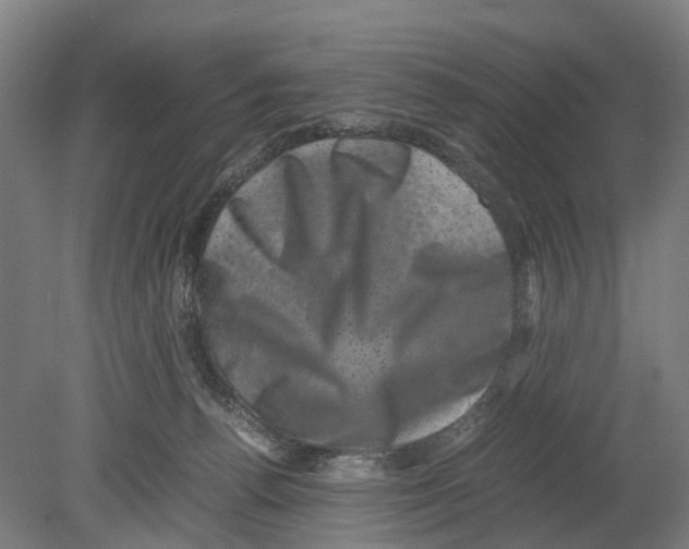 X0000080190176200701051732