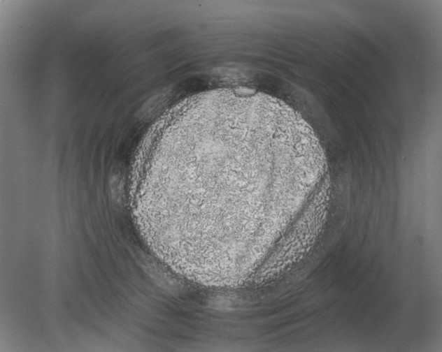 X0000080190177200701051732