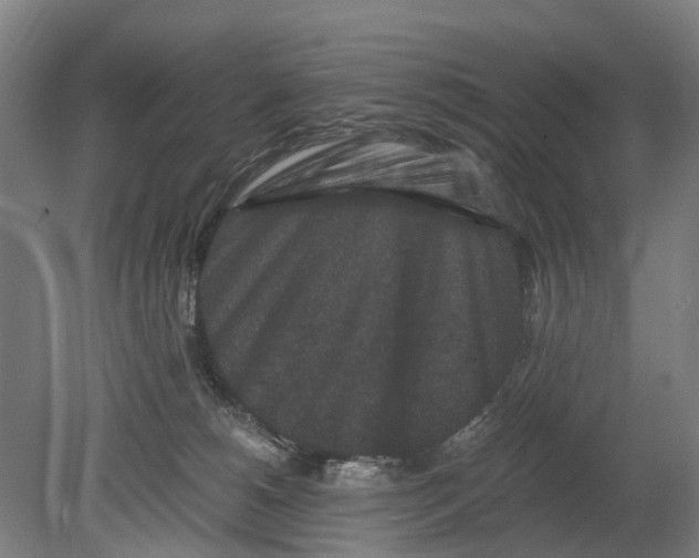 X0000080190180200701051732