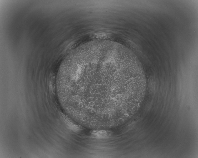 X0000080190181200701051732