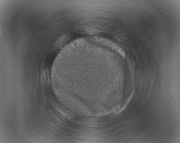 X0000080190182200701051732