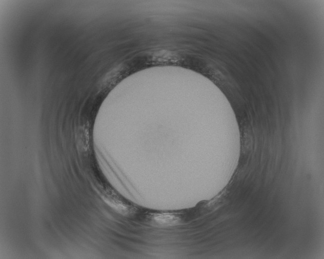 X0000080190183200701051732