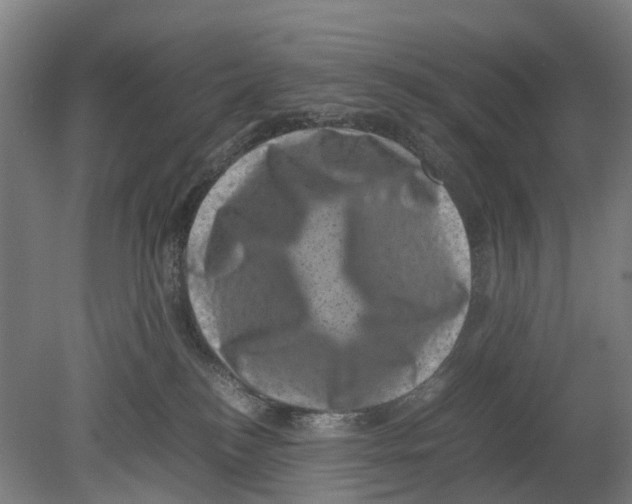 X0000080190184200701051732