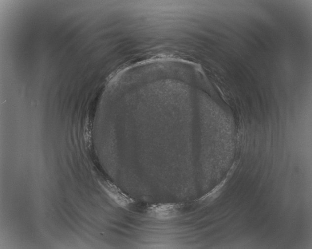 X0000080190186200701051732