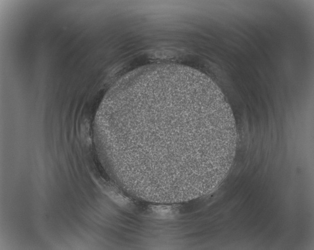 X0000080190187200701051732