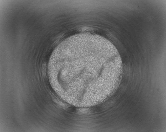 X0000080190189200701051732