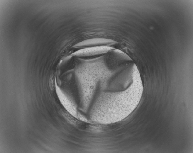 X0000080190190200701051732