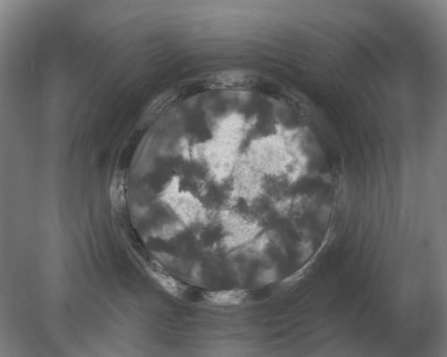 X0000080190191200701051732