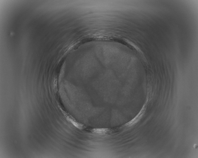 X0000080190192200701051732