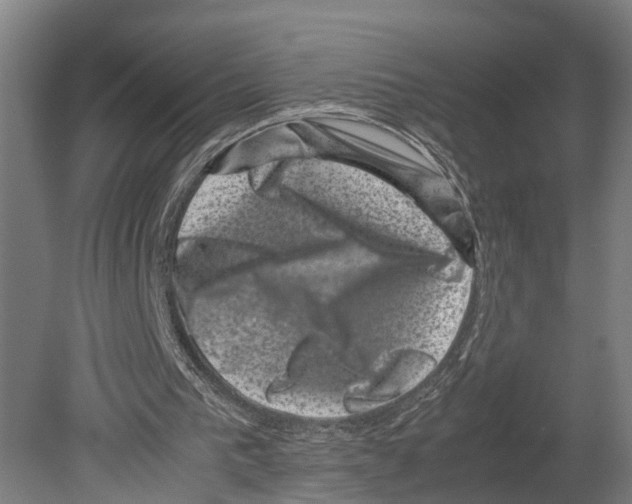 X0000080190193200701051732