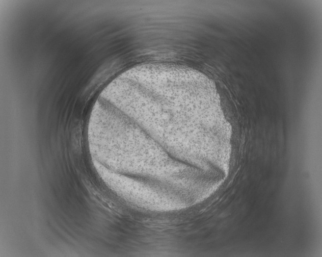 X0000080190194200701051732