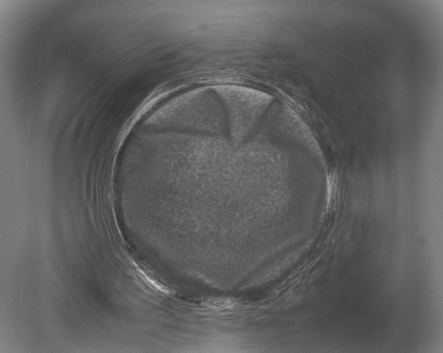 X0000080190195200701051732