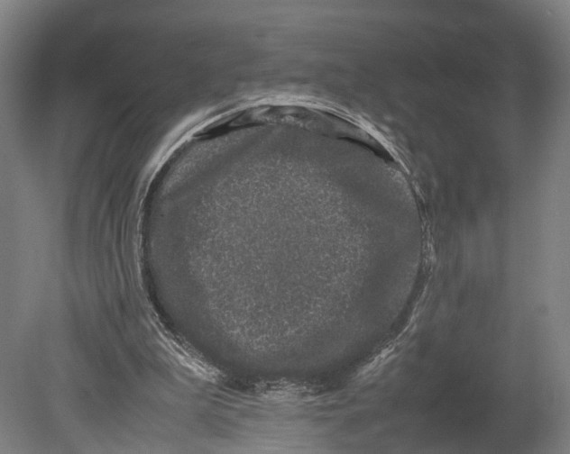 X0000080190199200701051731